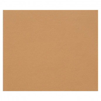 Цветная бумага 500*650мм., Clairefontaine "Tulipe", 25л., 160г/м2, светло-коричневый, лёгкое зерно