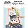 Картина по номерам на холсте ТРИ СОВЫ "Друзья", 40*50, с акриловыми красками и кистями