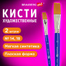 Кисти художественные набор 2 шт, синтетика (плоские №14, 18), BRAUBERG ART DEBUT, 201038, комплект 2 шт