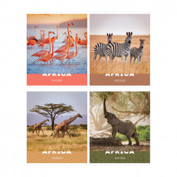 Тетрадь 48л., А5, клетка ArtSpace "Животные. Nature of Africa", эконом 10 шт/в уп