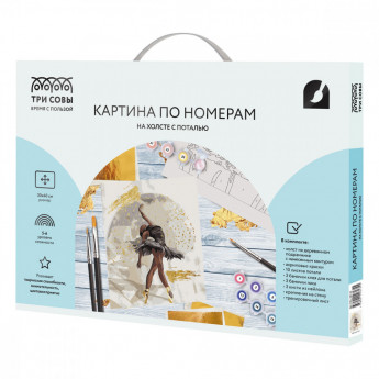 Картина по номерам на холсте ТРИ СОВЫ 'Балерина', 30*40, с поталью, акриловыми красками и кистями