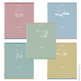 Тетрадь 24 л. BRAUBERG клетка, обложка картон, "PASTEL", 106486