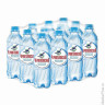 Вода негазированная минеральная "ЧЕРНОГОЛОВСКАЯ", 0,33 л, пластиковая бутылка 6 шт/в уп
