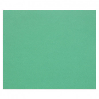 Цветная бумага 500*650мм., Clairefontaine "Tulipe", 25л., 160г/м2, тёмно-зелёный, лёгкое зерно