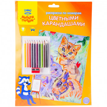 Раскраска по номерам Мульти-Пульти "Домашние питомцы" А4, с цветными карандашами, картон, европодвес