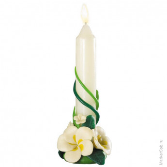 Набор для лепки свечей "Лепим свечи. Экзотические цветы"