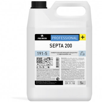 Средство моющее для кухни c дез. эффектом PRO-BRITE 'Septa 200', 5л, концентрат, ЧАС