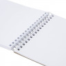 Скетчбук, белая бумага 100 г/м2, 140х201 мм, 60 л., гребень, жёсткая подложка, BRAUBERG ART, 'Аниме', 115061