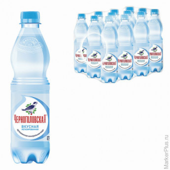 Вода негазированная минеральная "ЧЕРНОГОЛОВСКАЯ", 0,5 л, пластиковая бутылка, 6 шт/в уп