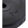 Диск пластиковый BASEFIT BB-203 5 кг, d=26 мм, черный,УТ-00019755