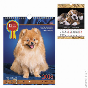 Календарь на гребне с ригелем на 2018 г., 22х30 см, HATBER, 12 л., "Год собаки", 12Кнп4Пгр 16121, K2