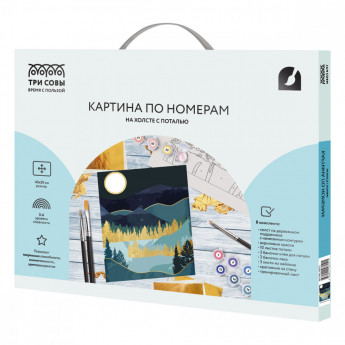 Картина по номерам на холсте ТРИ СОВЫ 'Золотая ночь', 40*50, с поталью, акриловыми красками и кистями