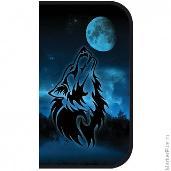 Пенал 1 отделение 190*110 "Ночной волк", флок