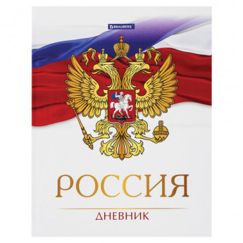 Дневник 5-11 класс 48 л., твердый, BRAUBERG, глянцевая ламинация, с подсказом, 'Символика 2', 106067