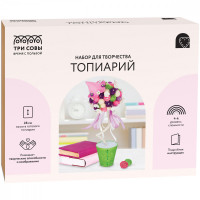 Набор для творчества ТРИ СОВЫ, топиарий 'Цветущий домик', картонная коробка