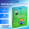 Папка-портфолио школьника 'ОТЛИЧНИК', 4 кольца, 20 файлов, 10 вкладышей, 7БЦ матовая, BRAUBERG, 115240