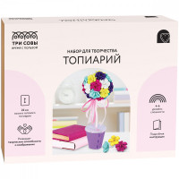 Набор для творчества ТРИ СОВЫ, топиарий "Розы", картонная коробка Набор для творчества ТРИ СОВЫ, топиарий "Розы", картонная коробка