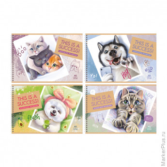 Альбом для рисования 40л., А4, на гребне BG "Лучший кадр"