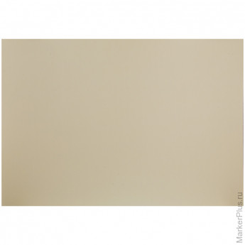 Картон плакатный Werola, 48*68см, 400г/м2, 10л., светло-серый