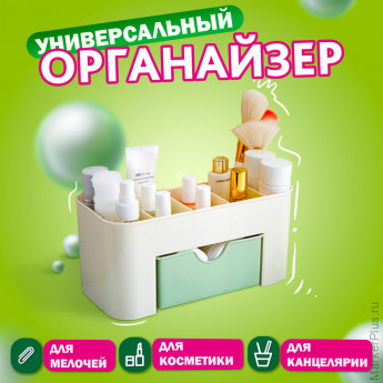 Органайзер для хранения косметики, канцтоваров, мелочей MINI 22х10,5х11 см, DASWERK, 608479