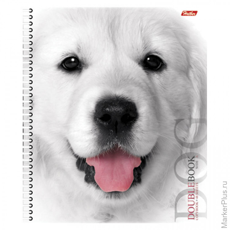 обложка на тетрадь собаки. тетрадь собачка. The pets". собака мечтатель. тетрадь собачка.