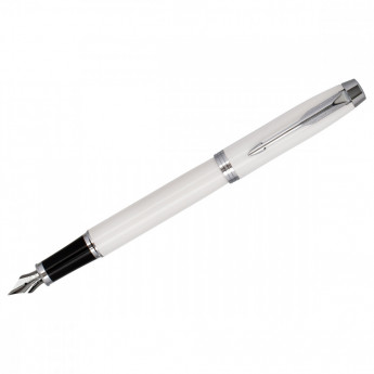 Ручка перьевая Parker 'Vector Stainless Steel' синяя, 0,8мм, подарочная упаковка