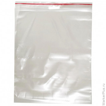 Пакет с замком (Zip Lock) с европодвесом 20 х 25 см, 60 мкм, 100 шт/уп, комплект 100 шт
