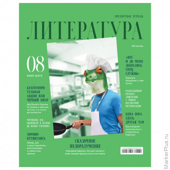 Тетрадь предметная 48л. BG "Скандальности" - Литература, глянцевая ламинация