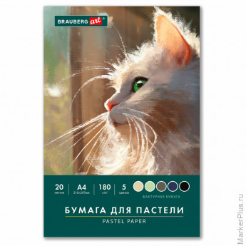 Бумага для пастели А4 в папке, 20 листов, 5 цветов, 180 г/м2, BRAUBERG ART CLASSIC, 116345