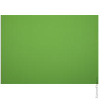 Картон плакатный Werola, 48*68см, 400г/м2, 10л, зеленый