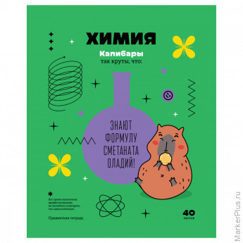 Тетрадь предметная 40л. BG "Записки школьника" - Химия, эконом