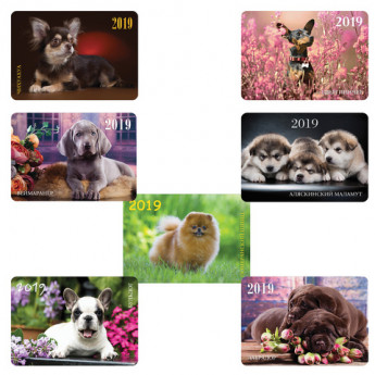 Календарь карманный 2019г HATBER, 7х10см, ламинированный, Собаки-породы, Кк7(K286609)