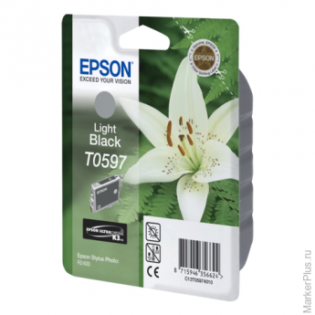 Картридж струйный EPSON (C13T05974010) Stylus Photo R2400, серый, оригинальный