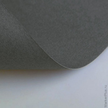 Бумага (картон) для творчества (1 лист) Fabriano Elle Erre А2+ 500х700 мм, 220 г/м2, темно-серый, 42450722