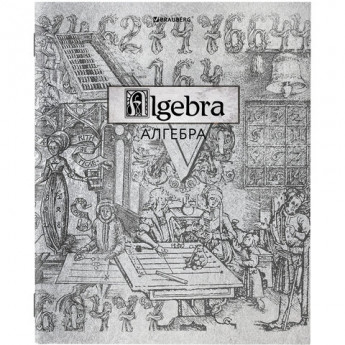 Тетрадь предметная SILVER 48 листов, металлизированный картон, АЛГЕБРА, клетка, подсказ, BRAUBERG, 404012