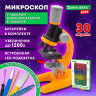 Микроскоп с подсветкой, 30 предметов, в т.ч. набор из 12 микропрепаратов в подарок, увеличение 100х, 400х, 1200х, BRAUBERG KIDS, 391400