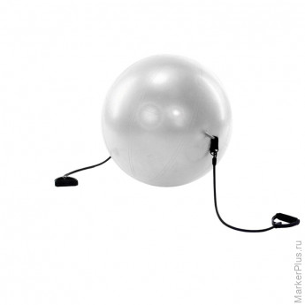 Мяч для фитнеса 'ФИТБОЛ-65 с эспандерами',SF 0216