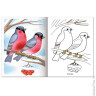Книжка-раскраска А5, 8 л., HATBER, Первые уроки, "Зимующие птицы", 8Рц5 10355, R006734