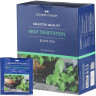 Чай Деловой Стандарт Mint temptation черный с мятой, 100 пакx2гр