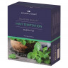 Чай Деловой Стандарт Mint temptation черный с мятой, 100 пакx2гр