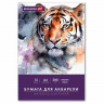 Бумага для акварели А4 в папке, 15 листов, 300 г/м2, среднее зерно, BRAUBERG ART CLASSIC, 116353 Бумага для акварели А4 в папке, 15 листов, 300 г/м2, среднее зерно, BRAUBERG ART CLASSIC, 116353