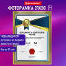Рамка 21х30 см небьющаяся, багет 15 мм пластик, BRAUBERG "Respect", золотистая, 391272