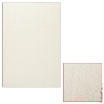 Картон белый грунтованный для масляной живописи, 35х50 см, односторонний, толщина 0,9 мм, масляный грунт