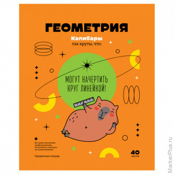 Тетрадь предметная 40л. BG "Записки школьника" - Геометрия , эконом