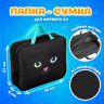 Папка на молнии с ручками А4, мешок для обуви 42х33 см, пенал 20х10 см, "Black cat" НАБОР BRAUBERG, 271434 Папка на молнии с ручками А4, мешок для обуви 42х33 см, пенал 20х10 см, "Black cat" НАБОР BRAUBERG, 271434