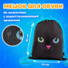 Папка на молнии с ручками А4, мешок для обуви 42х33 см, пенал 20х10 см, "Black cat" НАБОР BRAUBERG, 271434 Папка на молнии с ручками А4, мешок для обуви 42х33 см, пенал 20х10 см, "Black cat" НАБОР BRAUBERG, 271434