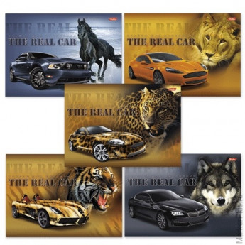 Альбом для рисования, 24 л., HATBER, спираль, обложка мелованный картон, 100 г/м2, "Real Car" ("Машины") (5 видов), 24А4Всп, А75432