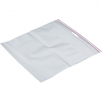 Пакет с замком (Zip Lock) с европодвесом 20 х 20 см, 60 мкм, 100 шт/уп, комплект 100 шт