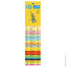 Бумага IQ (АйКью) color, А3, 120 г/м2, 250 л., интенсив кораллово-красная, CO44
