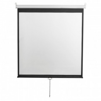Экран Digis DSOD-1107 настенный 1:1, 240x240